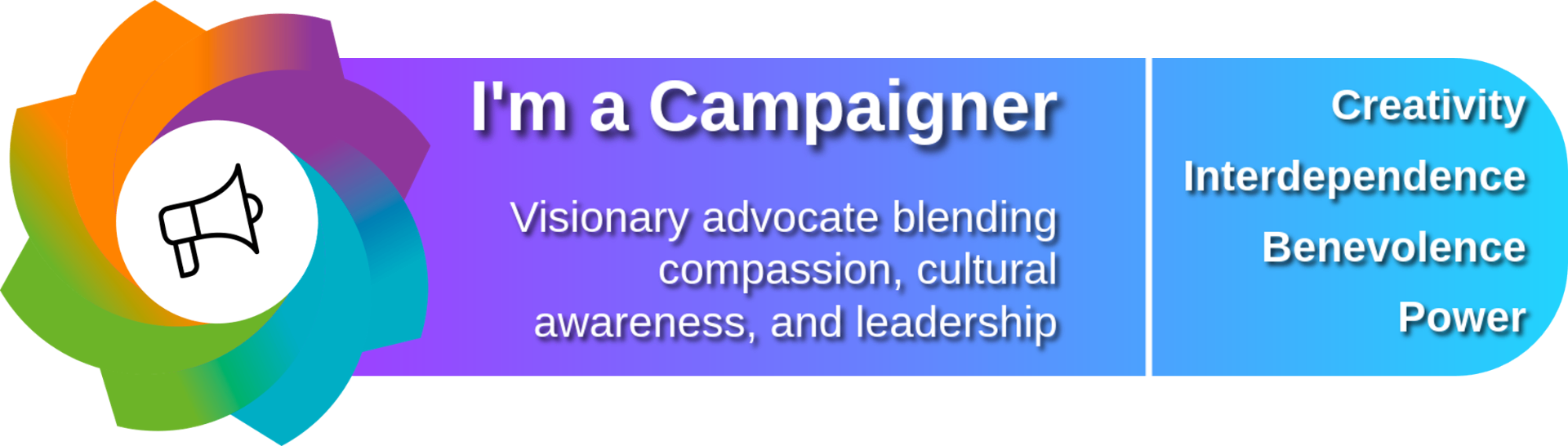 Campaigner archetype signature banner